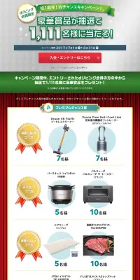 豪華賞品が1,111名様に当たる！Wチャンスキャンペーン！のLPデザイン（サービス・保険・金融／グリーン系／にぎやか系）PC版