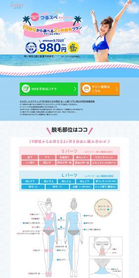 Hair Removal Salon Epiler LP design (Beauty services / Shades of blue / Simple) PC version
