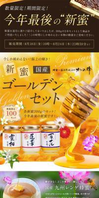Precious domestic premium new honey LP design (food / Orange tones / Cute style) PC version