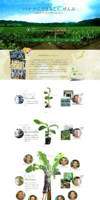 All that bananas can do. LP design (food / Green tones / Trust and Safety) PC version