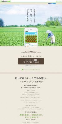 Raguri LP design (Services, Insurance, and Finance / Beige tones / Natural style) PC version