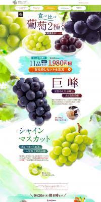 Premium Food Set with Two Varieties of Grapes for Tasting LP design (food / Green tones / Arts) PC version