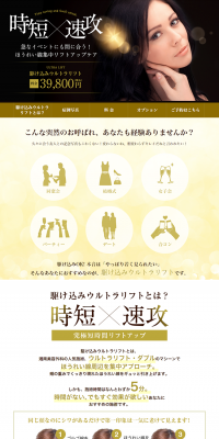 駆け込みウルトラリフトのLPデザイン（サービス・保険・金融／イエロー系／信頼・安心系）PC版