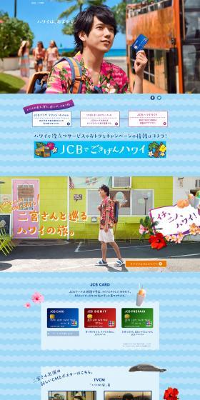 Leave Hawaii to us. LP design (Insurance, Finance, Credit / Shades of blue / Cute style) PC version