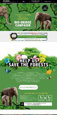 Bio-Bridge Campaign Special Feature LP design (Beauty, Skincare, Fragrance / Green tones / Arts) PC version
