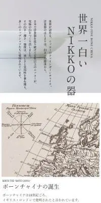 NIKKO FINE BONE CHINAのLPデザイン（日用雑貨／ホワイト系／シンプル系）スマホ版