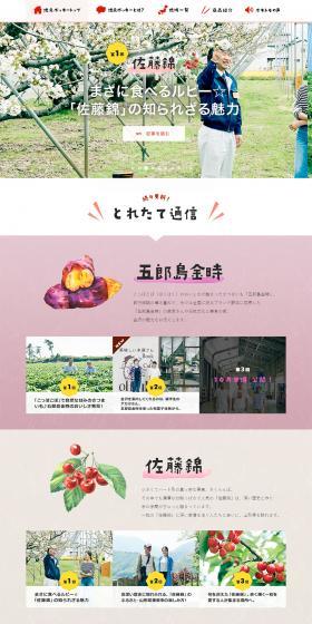 Local Pocky, created with the local community. LP design (Sweets and Snacks / White-based / Simple) PC version