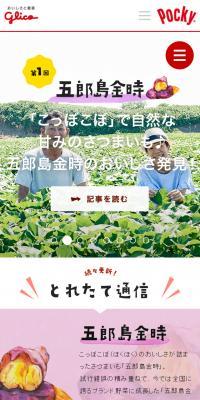 地元とつくる、地元ポッキーのLPデザイン（スイーツ・スナック菓子／ホワイト系／シンプル系）スマホ版