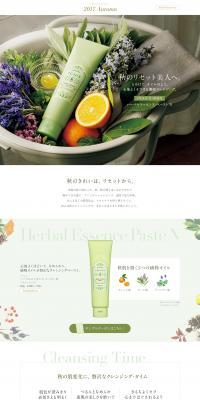 Herbal Essence Paste N LP design (Skincare, Bodycare, Haircare / Green tones / Organic) PC version