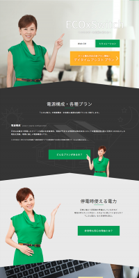 ECOxSwitch LP design (Businesses, companies, stores / Green tones / Simple) PC version