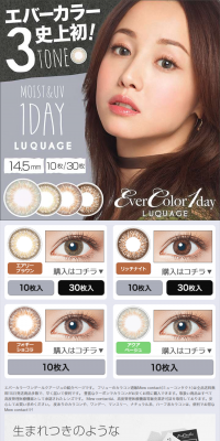 EverColor 1day LUQUAGE LP design (Beauty, Skincare, Fragrance / Shades of grey / Refined style) PC version