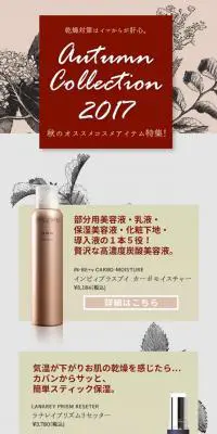2017オータムコレクションのLPデザイン（インターネットサービス／レッド系／アート・芸術系）スマホ版