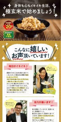 Ippin-ya - Kiwami Genmai LP design (food / Beige tones / Organic) PC version