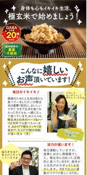 逸品屋・極玄米のLPデザイン（食品／ベージュ系／オーガニック系）スマホ版