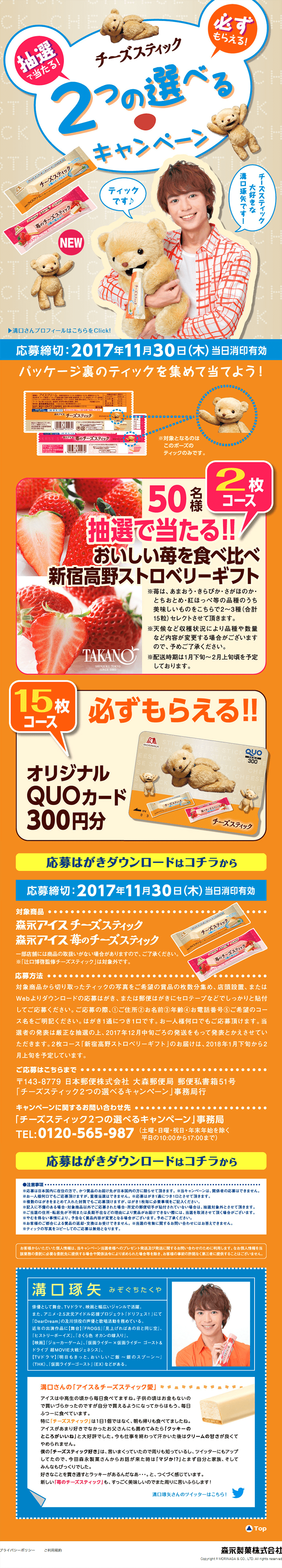 Cheese Stick: Choose Two Campaign LP design (Services, Insurance, and Finance / Beige tones / Cute style) PC version