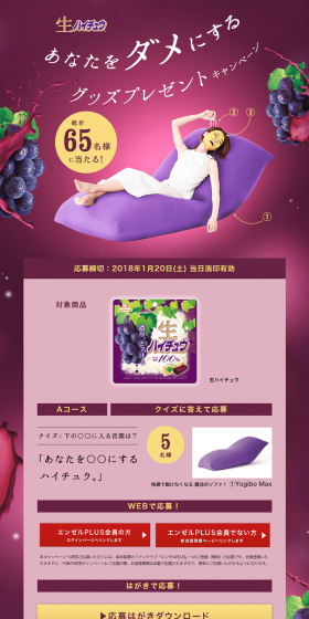Spoil-You Goods Campaign LP design (Services, Insurance, and Finance / Purples / Lively type) PC version