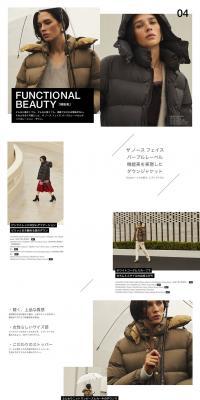 FUNCTIONAL BEAUTY LP design (fashion / Brown tones / Simple) PC version