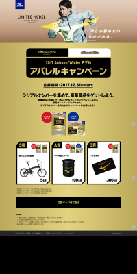 Apparel Campaign LP design (Services, Insurance, and Finance / Gold tones / Simple) PC version
