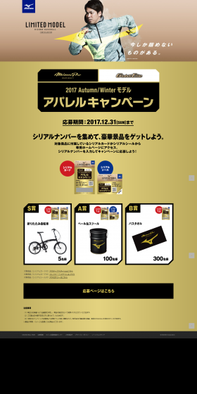 Apparel Campaign LP design (Services, Insurance, and Finance / Gold tones / Simple) PC version