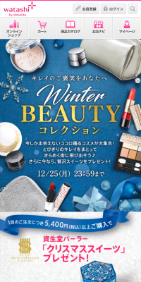 WINTER BEAUTY コレクションのLPデザイン（サービス・保険・金融／ブルー系／キレイ系）スマホ版