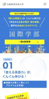 大阪経済法科大学　国際学部のLPデザイン（学校・塾・通信講座／ブルー系／シンプル系）スマホ版