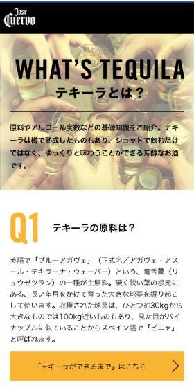 テキーラのLPデザイン(その他のお酒/イエロー系/かっこいい系)スマホ版