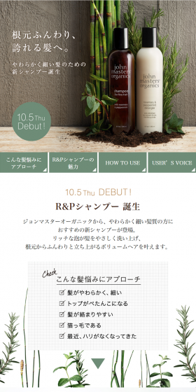 R&P Shampoo LP design (Beauty, Skincare, Fragrance / Green tones / Simple) PC version
