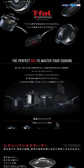 Experience LP design (goods / Black-colored / Cool style) PC version