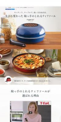 T-fal with Detachable Handle LP design (goods / Shades of grey / Simple) PC version