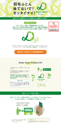 Green Down Project LP design (Services, Insurance, and Finance / Green tones / Trust and Safety) PC version