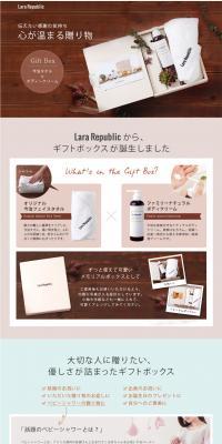 Gift Box LP design (goods / Brown tones / Organic) PC version