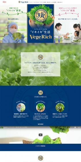 VegeRich LP design (food / Green tones / Refined style) PC version