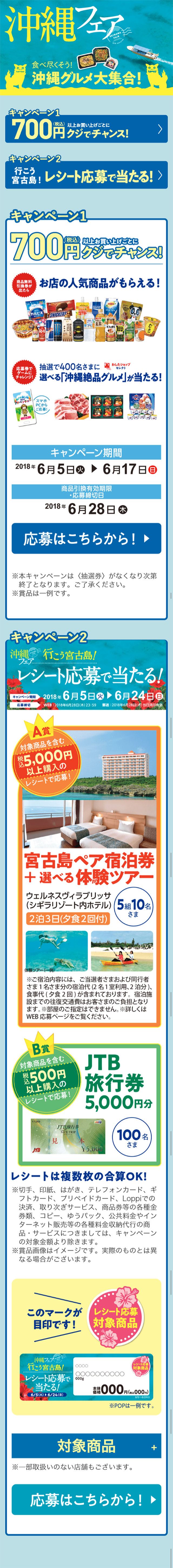 Okinawa Fair LP design (Services, Insurance, and Finance / Shades of blue / Refined style) Mobile version