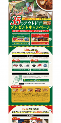 35 Outdoor Present Campaign LP design (Services, Insurance, and Finance / yellow / Lively type) PC version