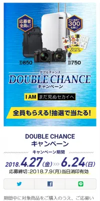 DOUBLE CHANCEキャンペーンのLPデザイン（サービス・保険・金融／ブルー系／シンプル系）スマホ版