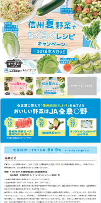 Easy Recipe Campaign with Shinshu Summer Vegetables LP design (Services, Insurance, and Finance / Shades of blue / Health and Wellness) PC version
