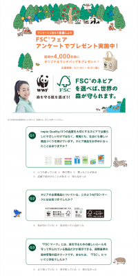 FSCフェアのLPデザイン（サービス・保険・金融／オレンジ系／シンプル系）PC版