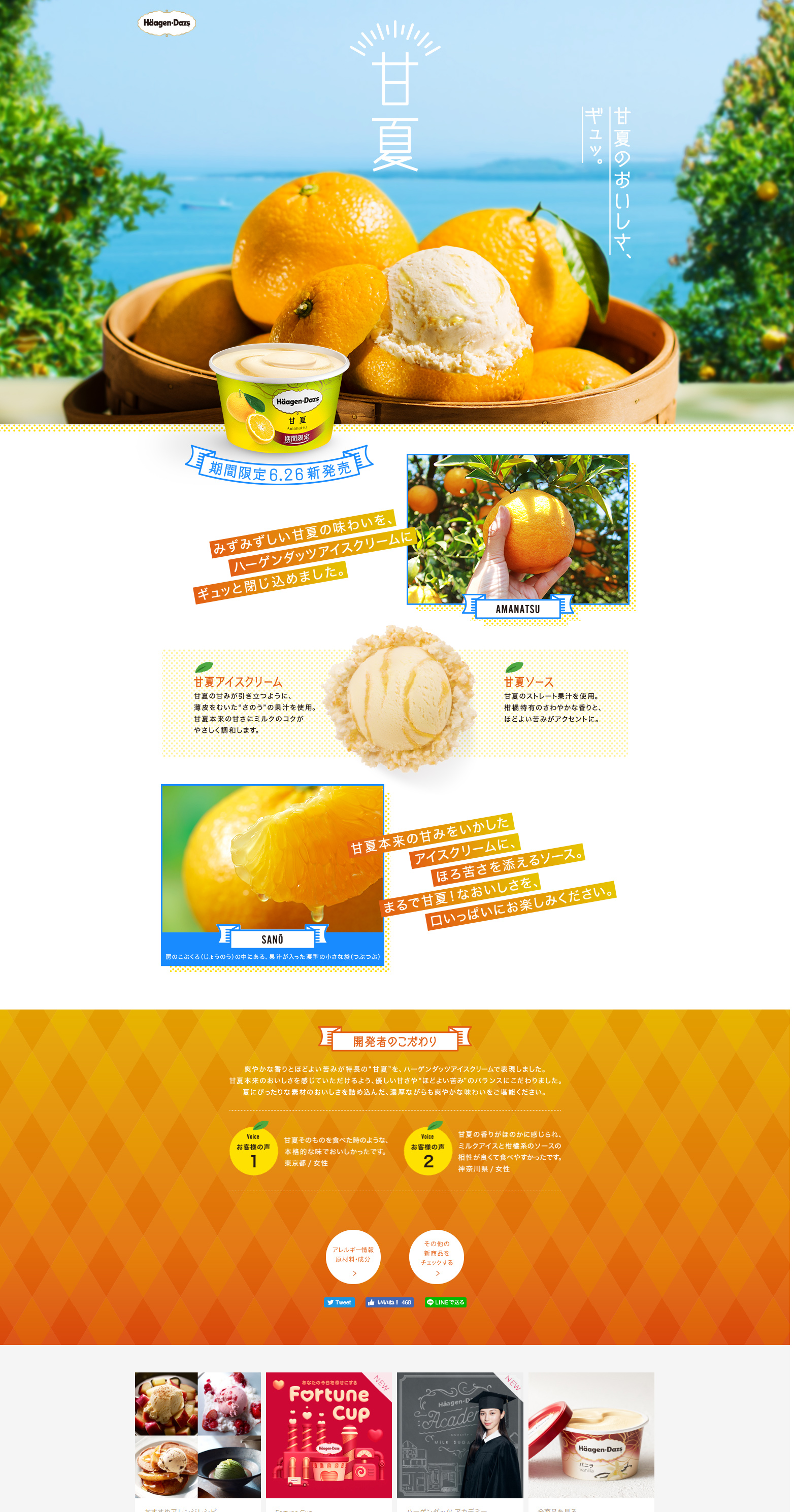 ハーゲンダッツ「甘夏」のLPデザイン（スイーツ・スナック菓子／オレンジ系／かわいい系）PC版