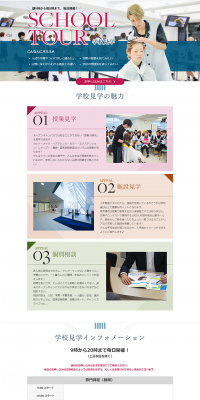 School Tour LP design (Learning Materials / Pink shades / Trust and Safety) PC version