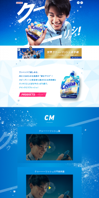World Coolish Championship LP design (Services, Insurance, and Finance / Shades of blue / Clean-cut) PC version