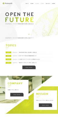 Photosynth Inc. LP design (Businesses, companies, stores / Green tones / Simple) PC version