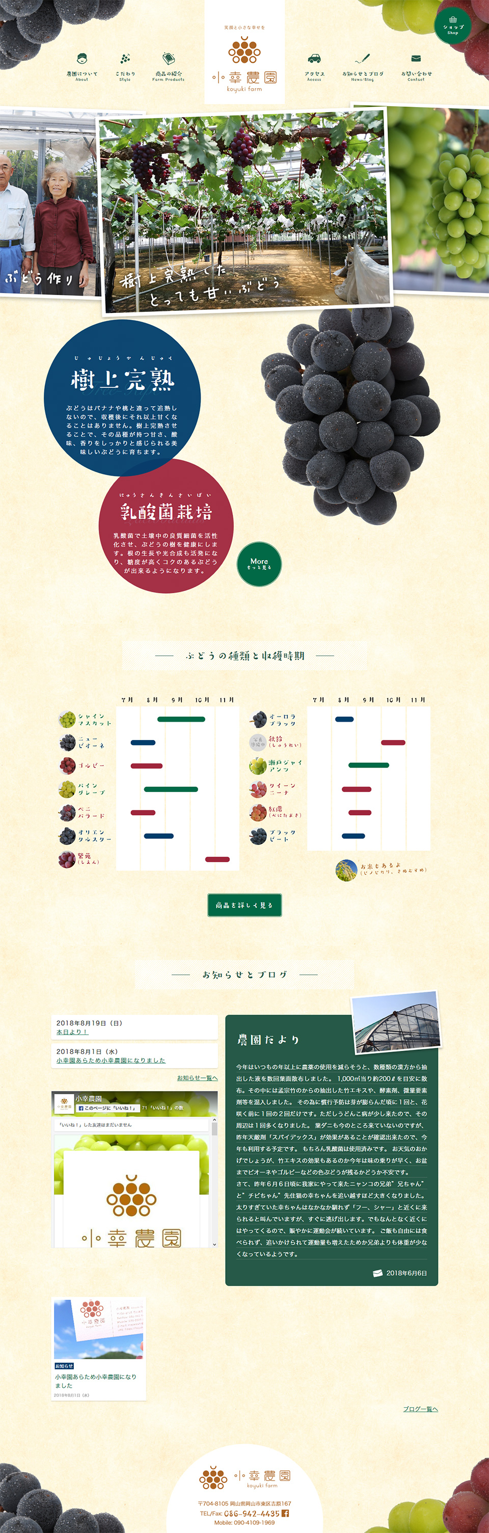 岡山の樹上完熟ぶどうのLPデザイン（食品／ベージュ系／信頼・安心系）PC版