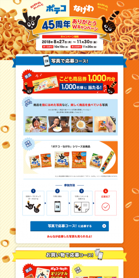 Poteko Nagewa 45th Anniversary Thank You Double Campaign LP design (Services, Insurance, and Finance / Orange tones / Lively type) PC version