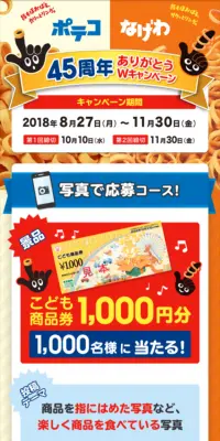 ポテコ なげわ 45周年 ありがとうWキャンペーンのLPデザイン（サービス・保険・金融／オレンジ系／にぎやか系）スマホ版