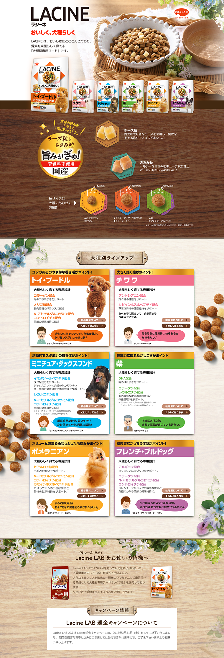 ラシーネのLPデザイン（ペット・花・DIY工具／ベージュ系／にぎやか系）PC版