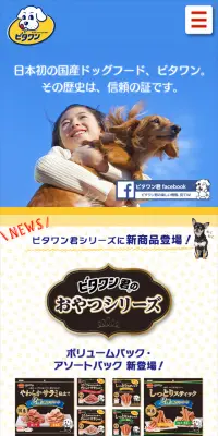 ビタワンのLPデザイン（ペット・花・DIY工具／イエロー系／キレイ系）スマホ版