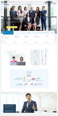 Bizmates LP design (Internet service / Shades of blue / Trust and Safety) PC version