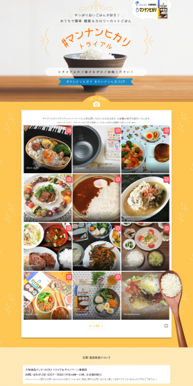 Mannanhikari Trial Campaign LP design (Services, Insurance, and Finance / yellow / Refined style) PC version