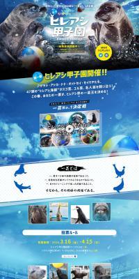 Hireashi Koshien LP design (Services, Insurance, and Finance / Shades of blue / Lively type) PC version