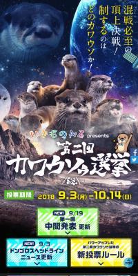 第二回 カワウソゥ選挙開催！のLPデザイン（サービス・保険・金融／ブラック系／にぎやか系）スマホ版
